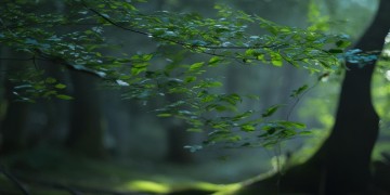 一幽风吹过披肩到底是哪首歌？