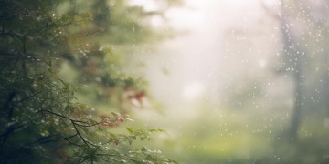 那些沉睡的细雨究竟是哪首歌？