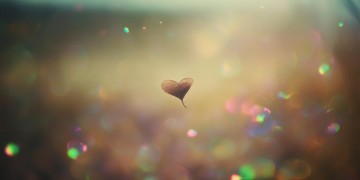 心也越来越迷茫究竟是哪首歌？