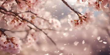 我要随你去是哪首歌里的？