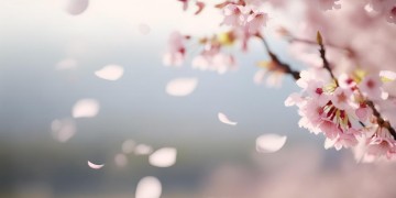 我们都曾经努力过是哪首歌？