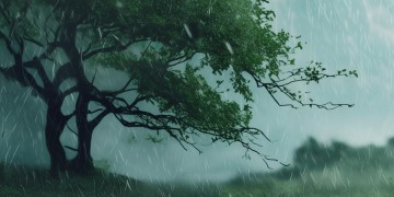 你在风雨中等我究竟是什么歌？