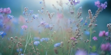 爱上粗犷的自己究竟是哪首歌？