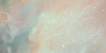 cc累得到底是什么歌？