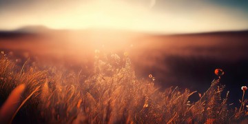 播放英文的天边到底是什么歌？