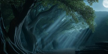 斑驳的夜色在说什么这首歌背后有何故事？
