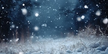 当雪花飘落下来出自哪首歌？