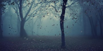 悲伤的爱叫做放手出自哪首歌？