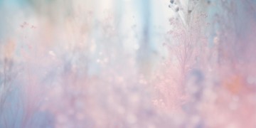 给我一句心安的话究竟是哪首歌？