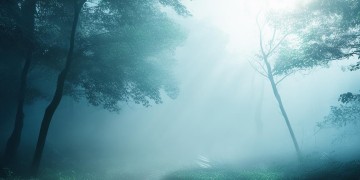 送给迷雾中的人到底是什么歌？