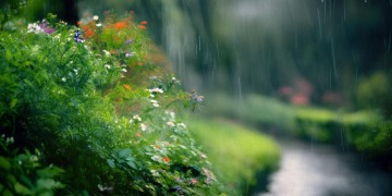 雨天欣赏是哪首歌？