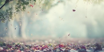 有哪些歌曲是关于说再见的呢？