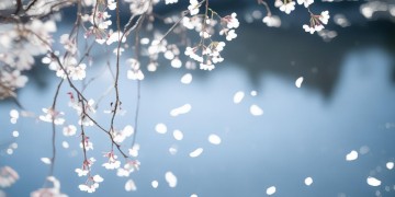 盼多情长相依究竟是哪首歌？