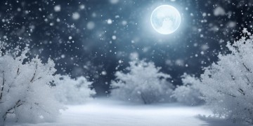 雪儿飘飘月儿瑶瑶究竟是哪首歌？