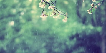 阳春三月的小雨出自哪首歌？