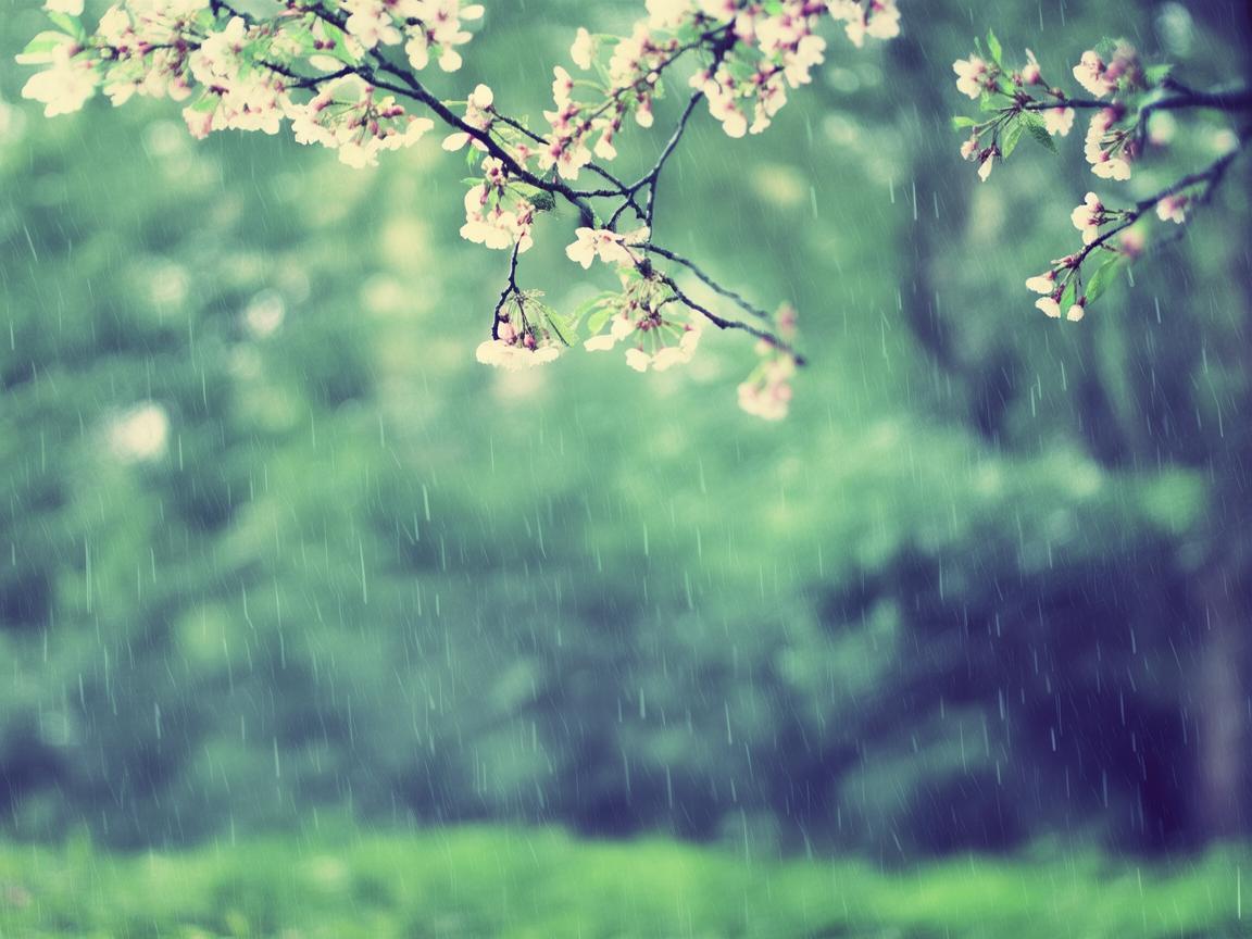 阳春三月的小雨出自哪首歌？