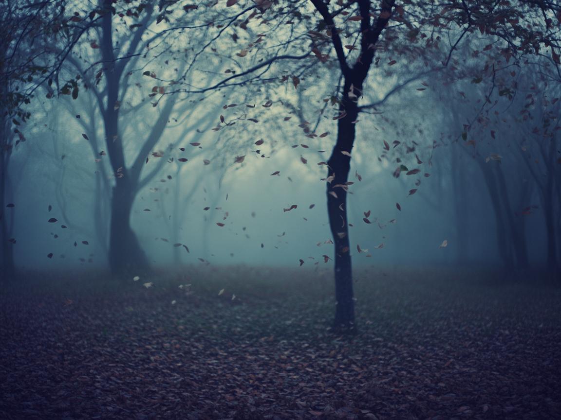 悲伤的爱叫做放手出自哪首歌？