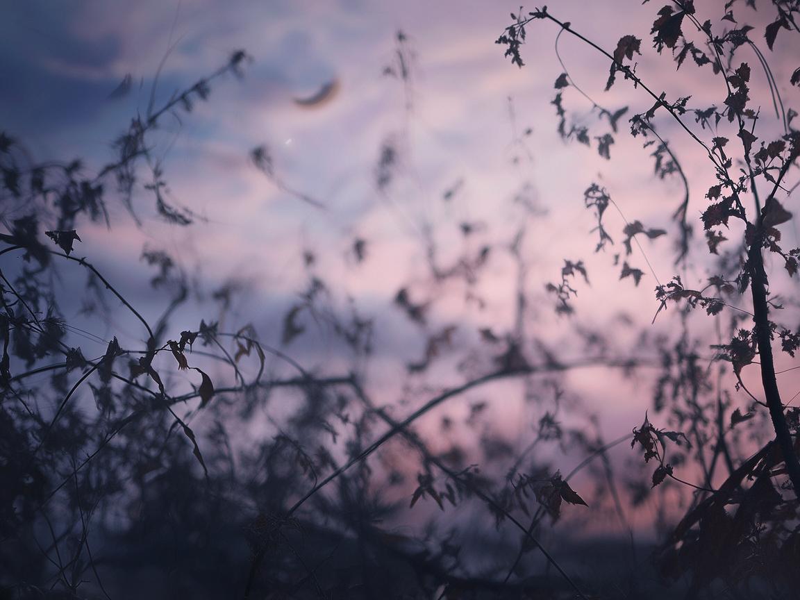 朽歌陨梦究竟是什么意思? 朽歌陨梦究竟是什么意思?