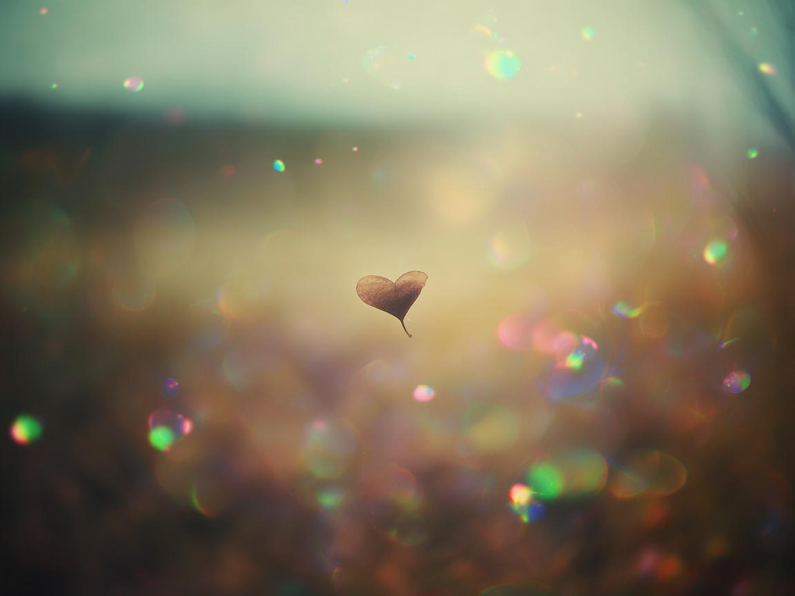 心也越来越迷茫究竟是哪首歌？