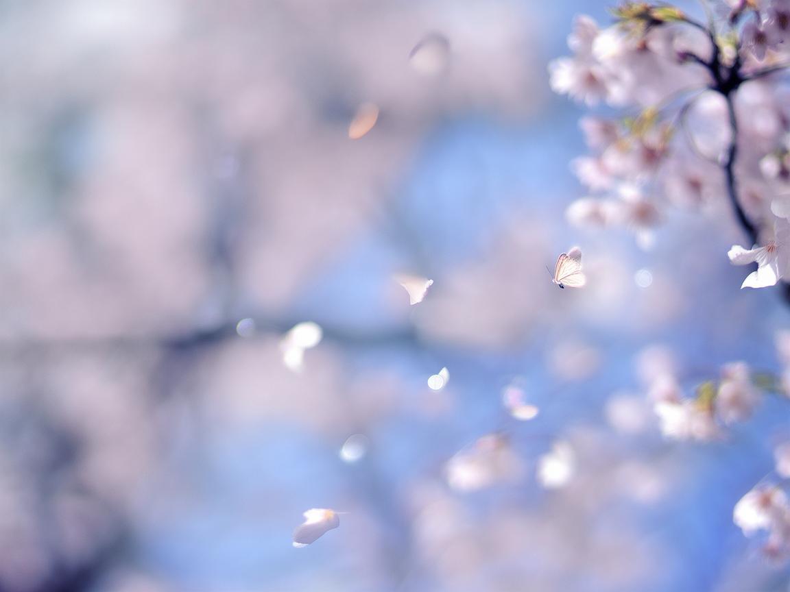 偶尔增添一点温柔究竟是哪首歌? 偶尔增添一点温柔究竟是哪首歌?